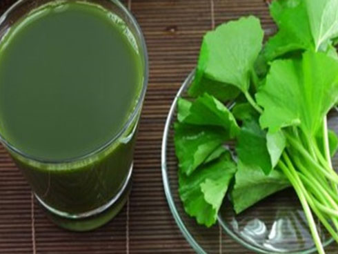 Dùng nước rau má để giải nhiệt, làm đẹp da nhưng nhiều người mắc sai lầm kiểu này ti tỉ lần vẫn không rút kinh nghiệm-4