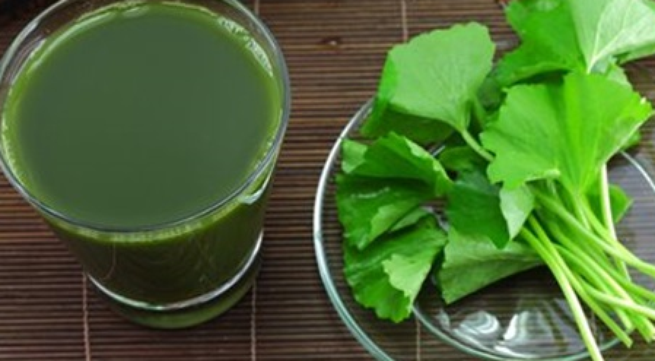 Chữa cảm nắng, say nắng bằng rau má-1