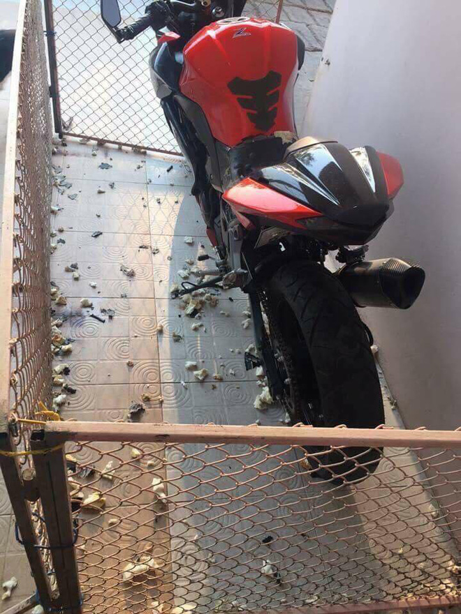 Quây xe trong rào sắt, khổ chủ dở khóc dở cười vì vẫn bị đàn chó... phá tan xe-1