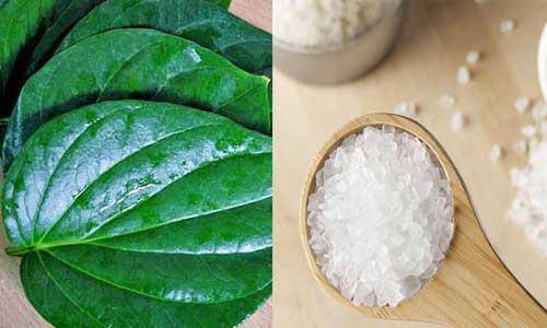 Bị nám da, cứ lấy nắm giá đỗ và củ cải làm thế này sau 2 tuần là sạch bách-6