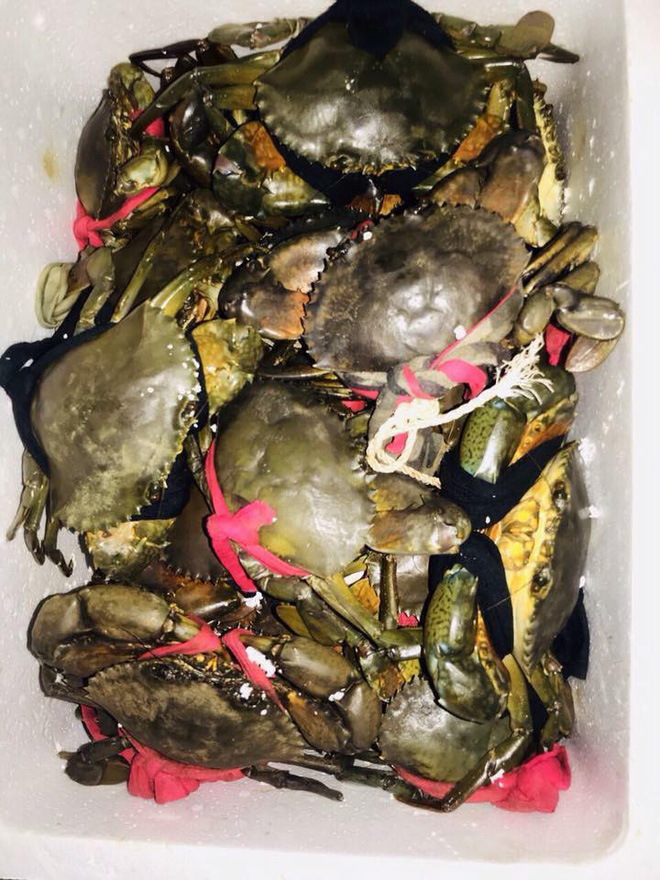 1,4kg cua thì 7 lạng dây, đây đích thị là giao dịch mua dây tặng cua-3