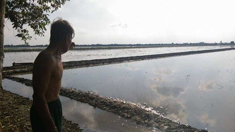 Cánh đồng kỳ bí đầy vàng ròng ở miền Tây-3