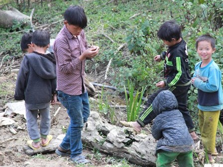 Chuyện không tin nổi về những cậu con trai mọc