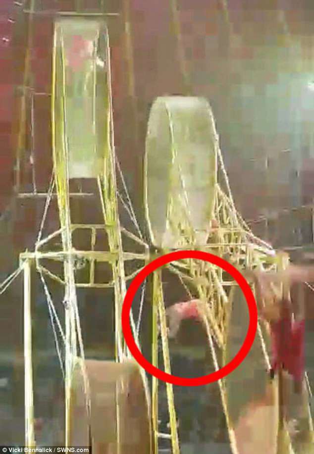 Clip: Đang biểu diễn, diễn viên xiếc gặp nạn rơi từ độ cao hơn 9m xuống sàn-1