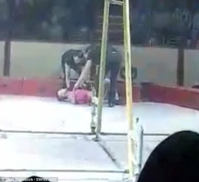 Clip: Đang biểu diễn, diễn viên xiếc gặp nạn rơi từ độ cao hơn 9m xuống sàn-2