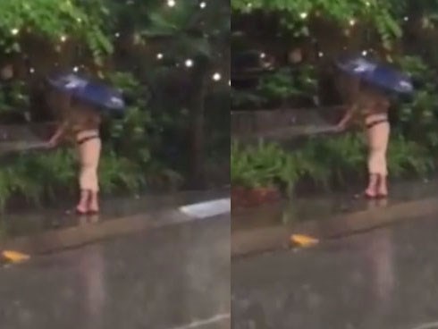 Người đàn ông che ô cặm cụi tưới nước giữa trời mưa rào