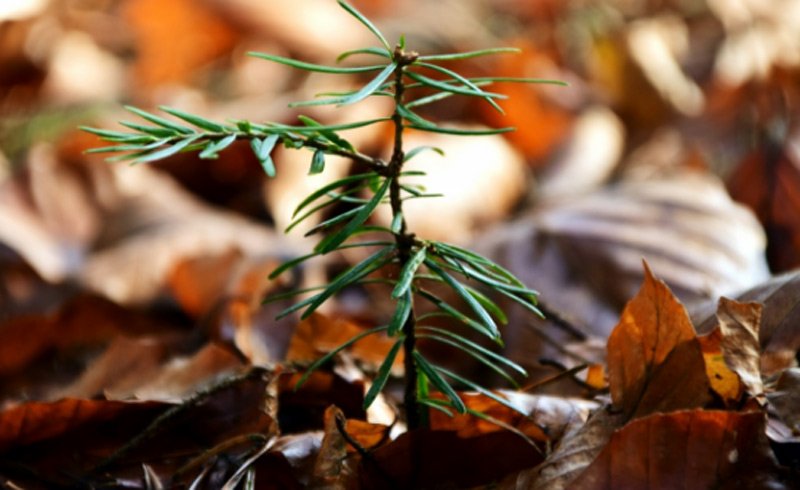 Chuyện làm mẹ đơn thân, mua nhà Hà Nội của nữ giảng viên-1