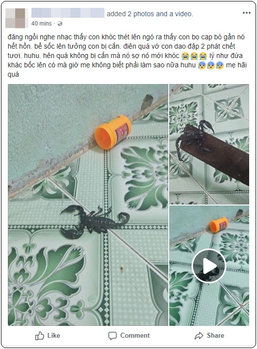 Bé 1 tuổi khóc thét, mẹ thất kinh khi nhìn thấy bọ cạp còn sống ngay cạnh con mình-1