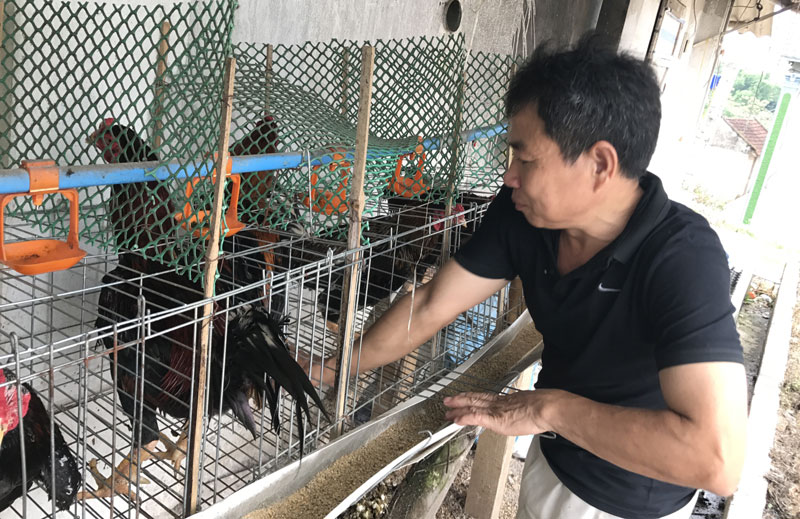 Độc chiêu hiếm có Việt Nam, lão nông thu lãi 1,5 tỷ/tháng-3