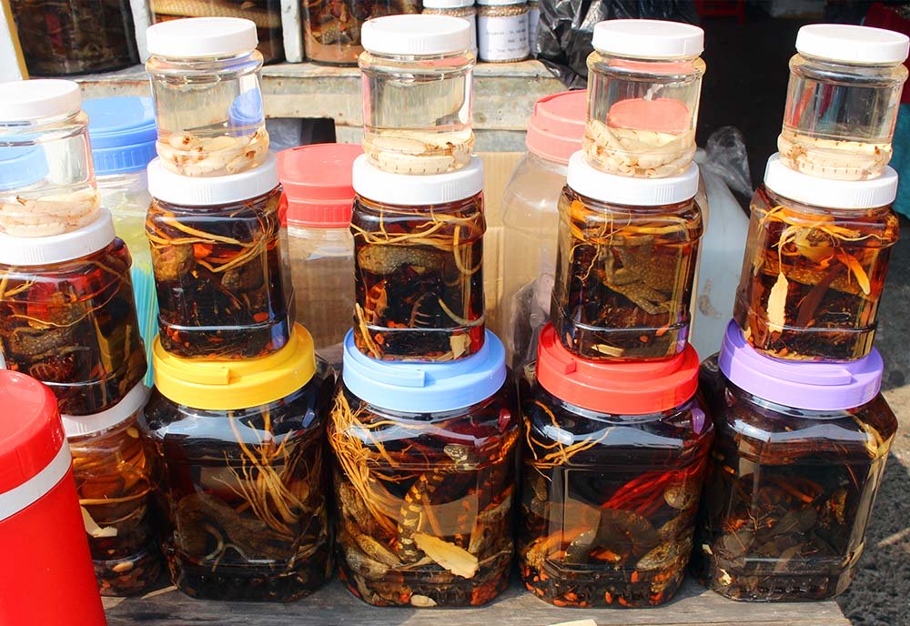 Săn thần dược xuân tình ở chợ côn trùng lớn nhất miền Tây-1