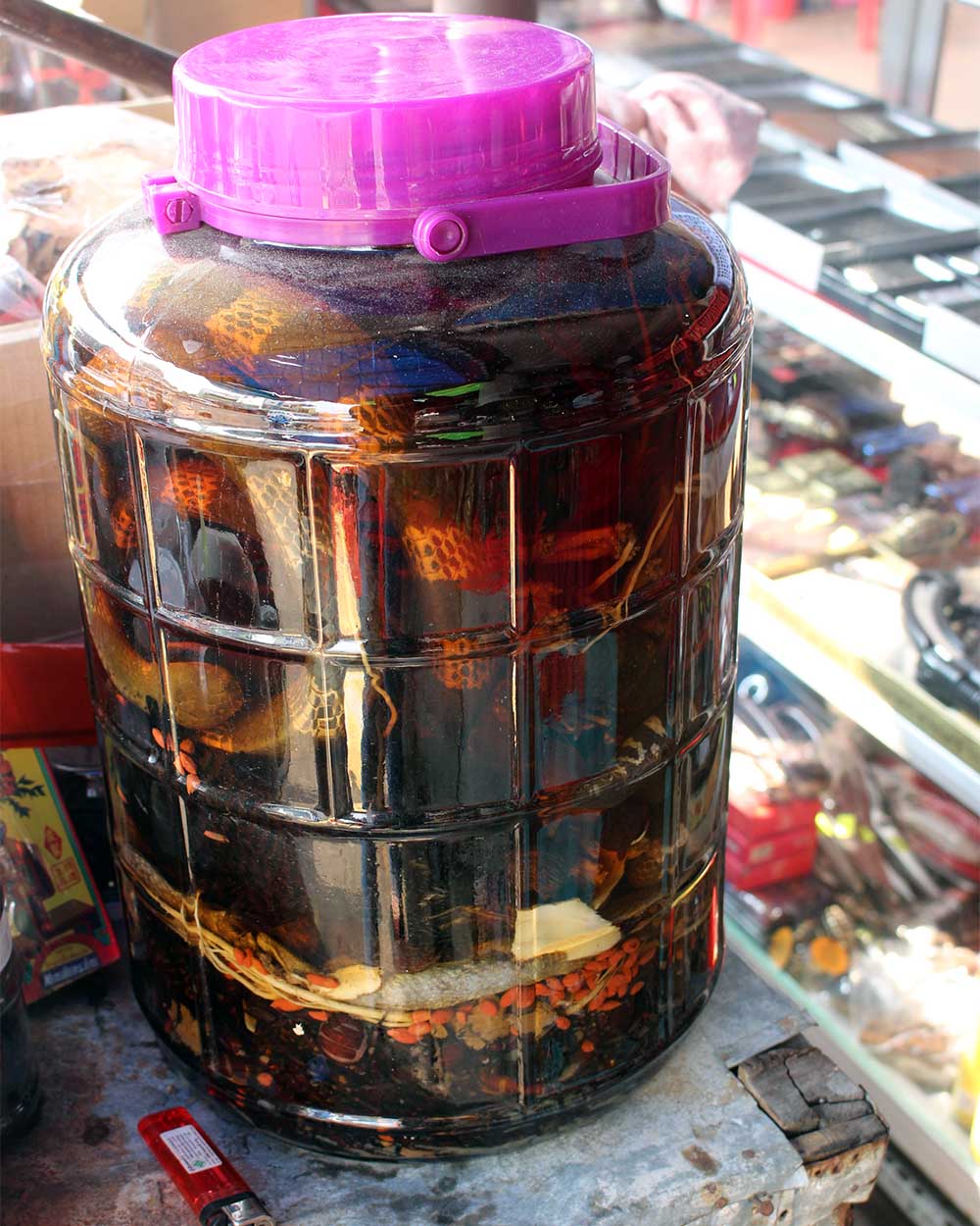 Săn thần dược xuân tình ở chợ côn trùng lớn nhất miền Tây-4