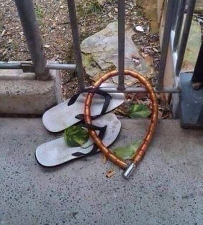 Những kiểu chống trộm khó đỡ trên khắp thế gian-8