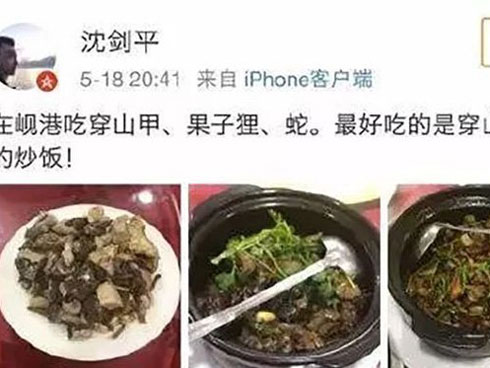 Buôn bán động vật hoang dã bị phát hiện, lái xe tông thẳng vào công an-3