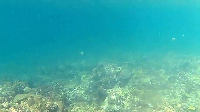 Khám phá Đảo Bình Hưng 3 ngày 2 đêm đẹp mê ly-9