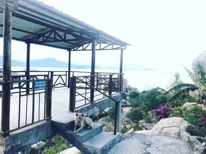 Khám phá Đảo Bình Hưng 3 ngày 2 đêm đẹp mê ly-13