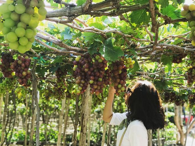 Khám phá Đảo Bình Hưng 3 ngày 2 đêm đẹp mê ly-20