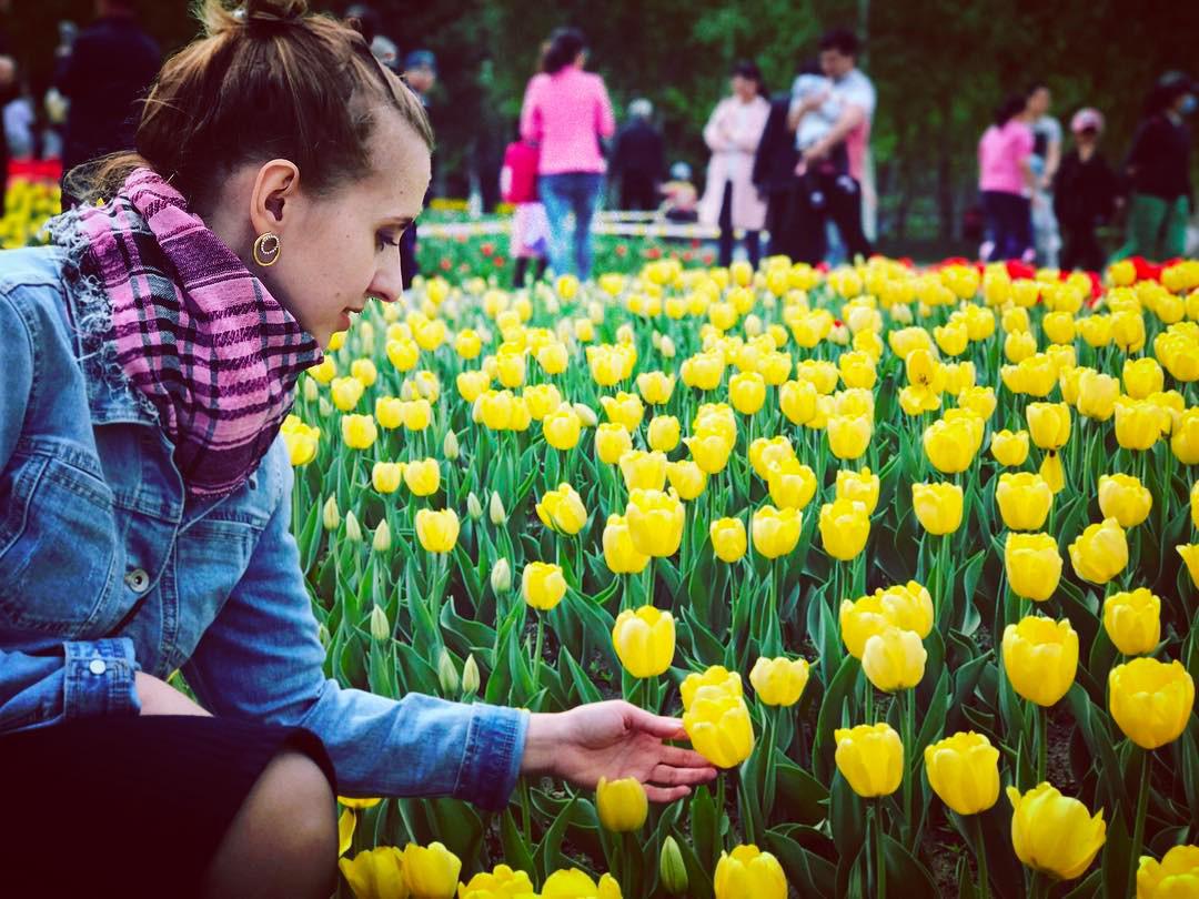 Không cần tới Hà Lan, ngay láng giềng Việt Nam cũng có thiên đường hoa tulip đẹp chất ngất!-12