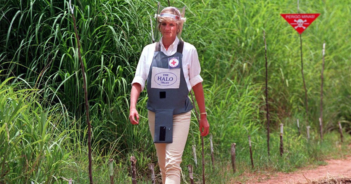 Nhan sắc và khí chất hoàn hảo của cố Công nương Diana trong những khoảnh khắc xưa-24