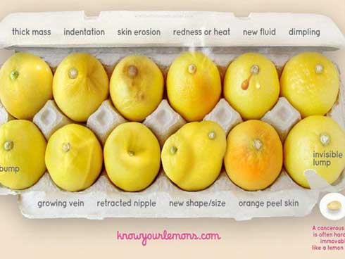 Qua đời vì ung thư vú, nhật ký của nữ tiến sĩ cảnh tình 3 thói quen nên bỏ ngay-5