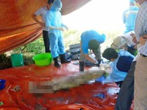Cái chết bất thường của nữ kế toán: Những tình tiết 'giật mình' từ cuộc khai quật Cái chết bất thường của nữ kế toán: Những tình tiết 'giật mình' từ cuộc khai quật