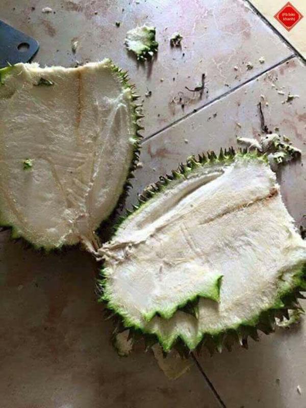 Màn vật lộn” của trai trẻ chứng tỏ bổ sầu riêng là thử thách khó nhất nhì thiên hạ-5