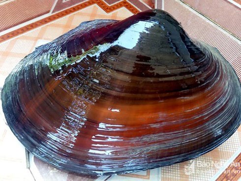 Bất ngờ bắt được con trai