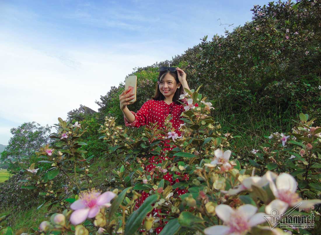 Đồi sim tím lịm bậc nhất xứ Nghệ: Dân teen đổ xô seo phì giữa nắng-8