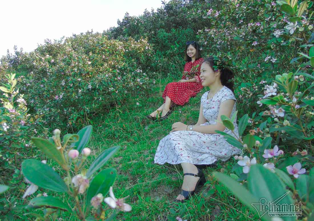 Đồi sim tím lịm bậc nhất xứ Nghệ: Dân teen đổ xô seo phì giữa nắng-10