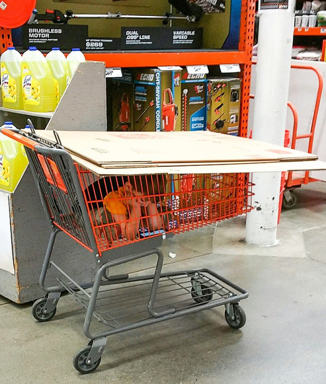 Cười ra nước mắt trước tình huống oái oăm của các ông bố trẻ được giao nhiệm vụ trông con khi vợ vắng nhà-6