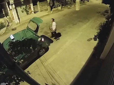 Xôn xao clip tài xế taxi Mai Linh ở Nghệ An trộm 4 chậu cây cảnh của nhà dân