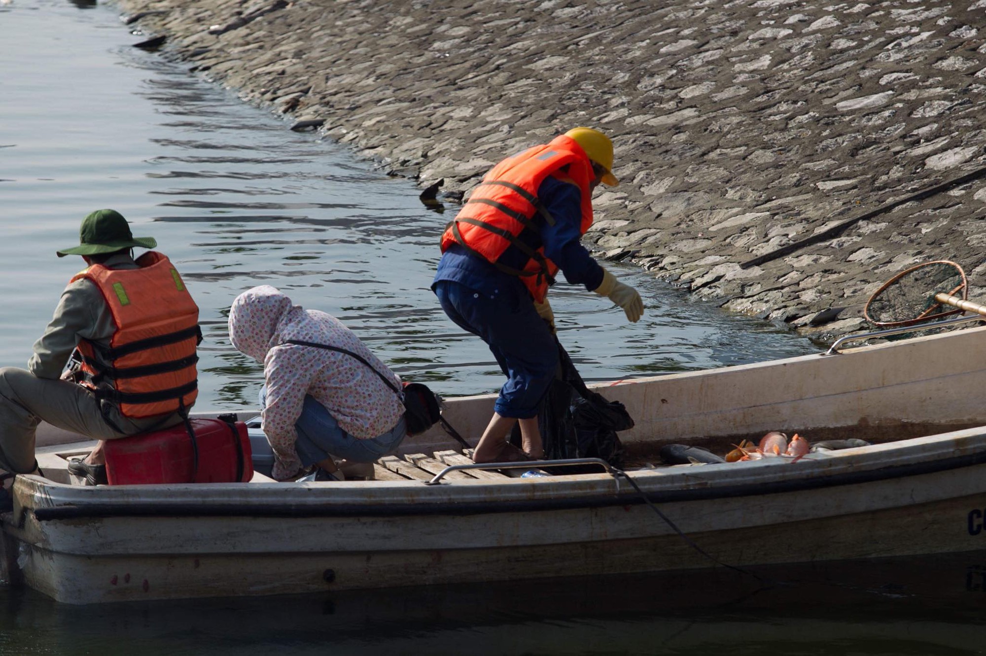 Hà Nội: Cá lại chết nhiều bất thường, nổi lềnh bềnh ở hồ Hoàng Cầu-4