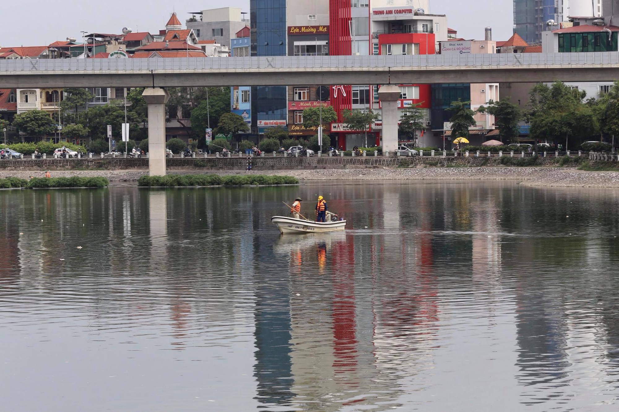 Hà Nội: Cá lại chết nhiều bất thường, nổi lềnh bềnh ở hồ Hoàng Cầu-7