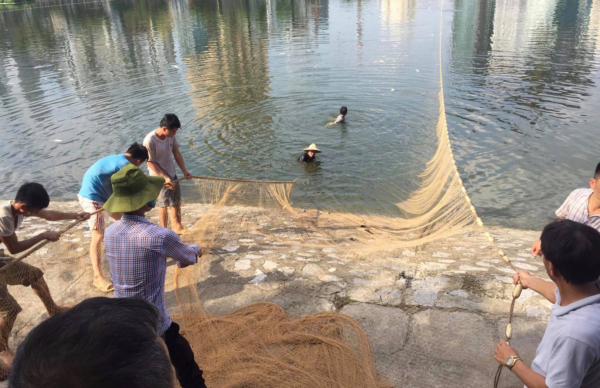 Hà Nội: Cá lại chết nhiều bất thường, nổi lềnh bềnh ở hồ Hoàng Cầu-5