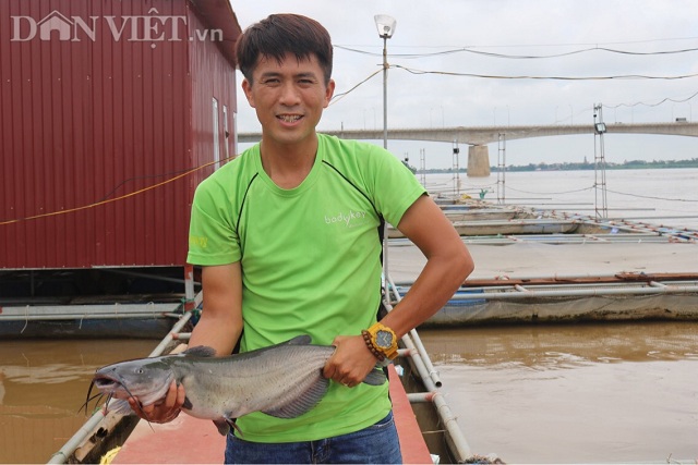 Gã khùng bỏ chức Thanh tra về nuôi cá lăng sông, lãi 300 triệu đồng-3