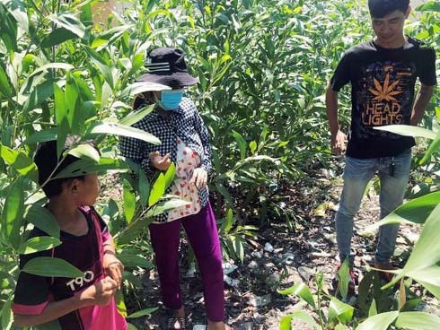 Vụ bé sơ sinh nghi bị chôn sống: 1 người phụ nữ xưng là mẹ, thừa nhận chôn con sau nhà