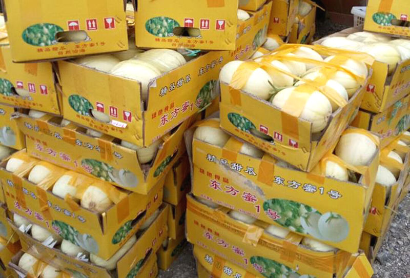 Dưa lê ruột vàng như bí ngô: Đặc sản lạ đích thị hàng Tàu-2