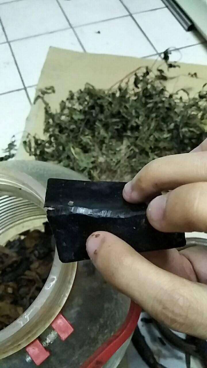 Con gái mua bình rượu thuốc đắt tiền về cho bố tẩm bổ, uống 7 năm mới phát hiện ra bò sát ngâm bên trong làm bằng nhựa-4