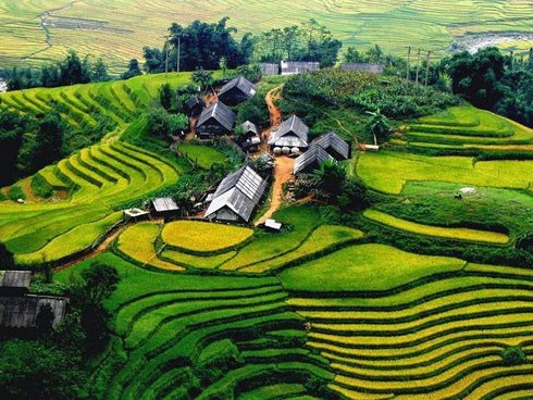 Việt Nam lọt top 10 điểm thú vị nhất để du lịch một mình năm 2018