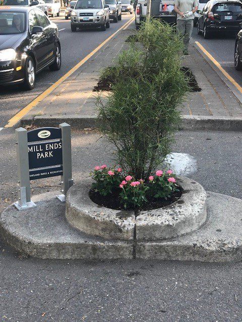 Công viên bé nhất thế giới: rộng chưa đầy 1 mét nhưng được cả thành phố nâng niu-2