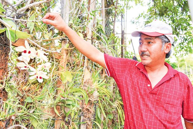 Tay chơi bậc nhất: Vườn lan rừng nhất Việt Nam, thuyền độc mộc lớn chưa từng có-2