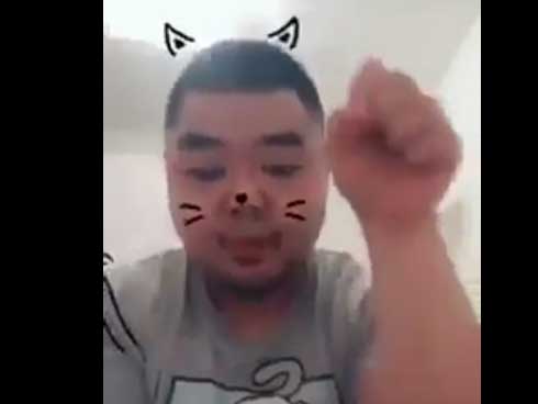 Clip chú mèo béo ngủ ngon lành trên dương cầm khiến nhiều người thích thú-1