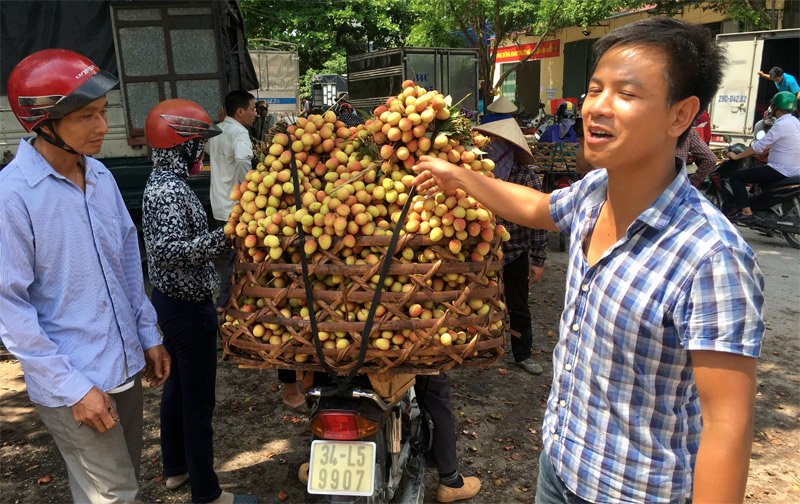 Tin đồn vải 10 ngàn/kg: Chỉ có ăn quả sâu, quả còi hạng bét-1