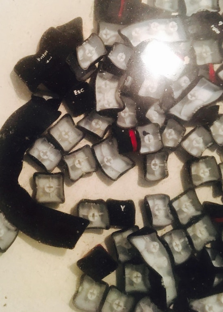 Con người thật là buồn cười-5