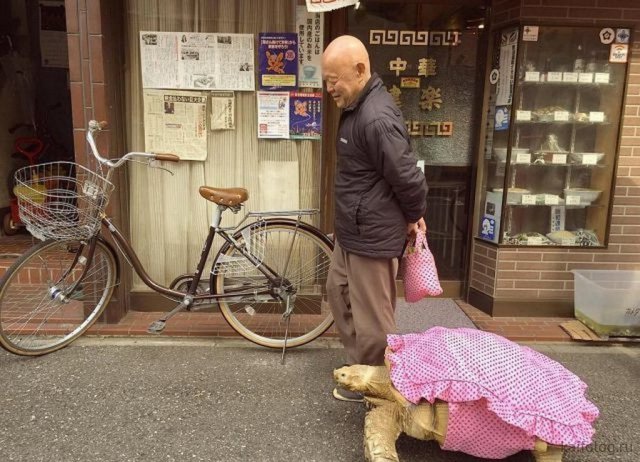 Cười ra nước mắt với những bức ảnh mà chỉ có ở... trời tây-2