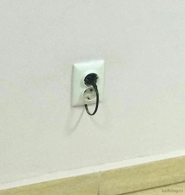 Cười ra nước mắt với những bức ảnh mà chỉ có ở... trời tây-3