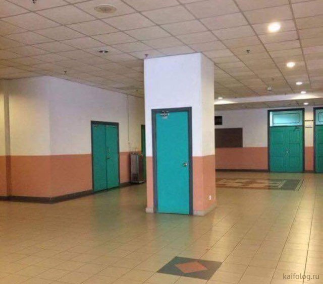 Cười ra nước mắt với những bức ảnh mà chỉ có ở... trời tây-10