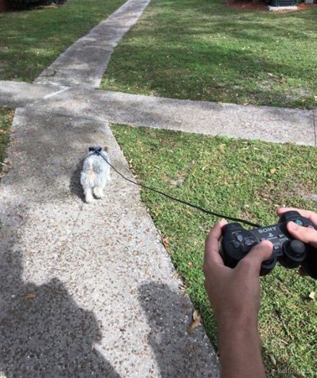 Cười ra nước mắt với những bức ảnh mà chỉ có ở... trời tây-9