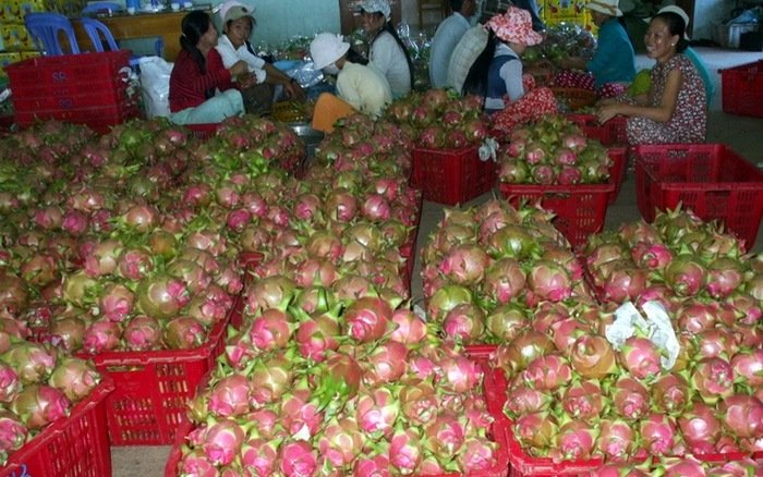Cô gái quê đỏng đảnh bị loại từ vòng gửi xe-1