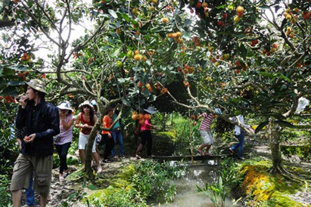 Du lịch tháng 6, đưa nhau đi trốn ở đâu?-5