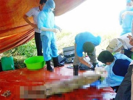 Gần 200 cuộc gọi vào máy nữ kế toán, Giám đốc BV nói cùng đồng nghiệp 